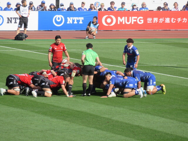 静岡ブルーレヴズ試合観戦
