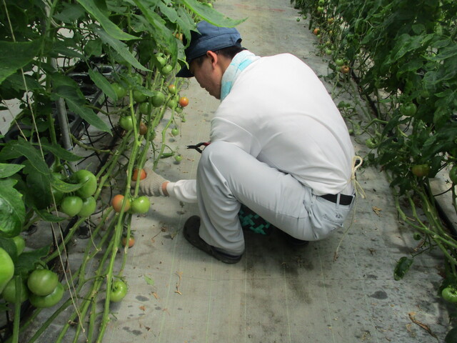 朝霧フードラボ