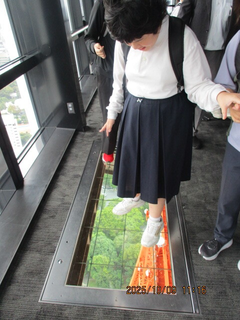 東京タワー 東京タワー