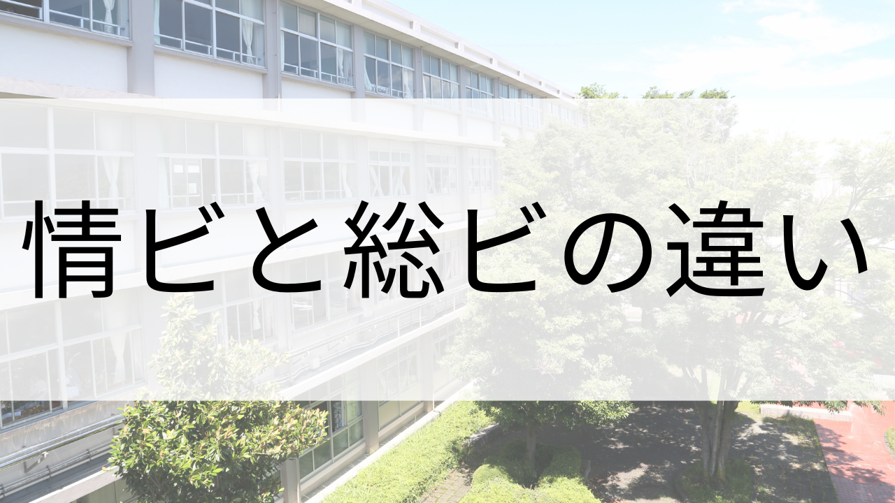 情ビと総ビの違い