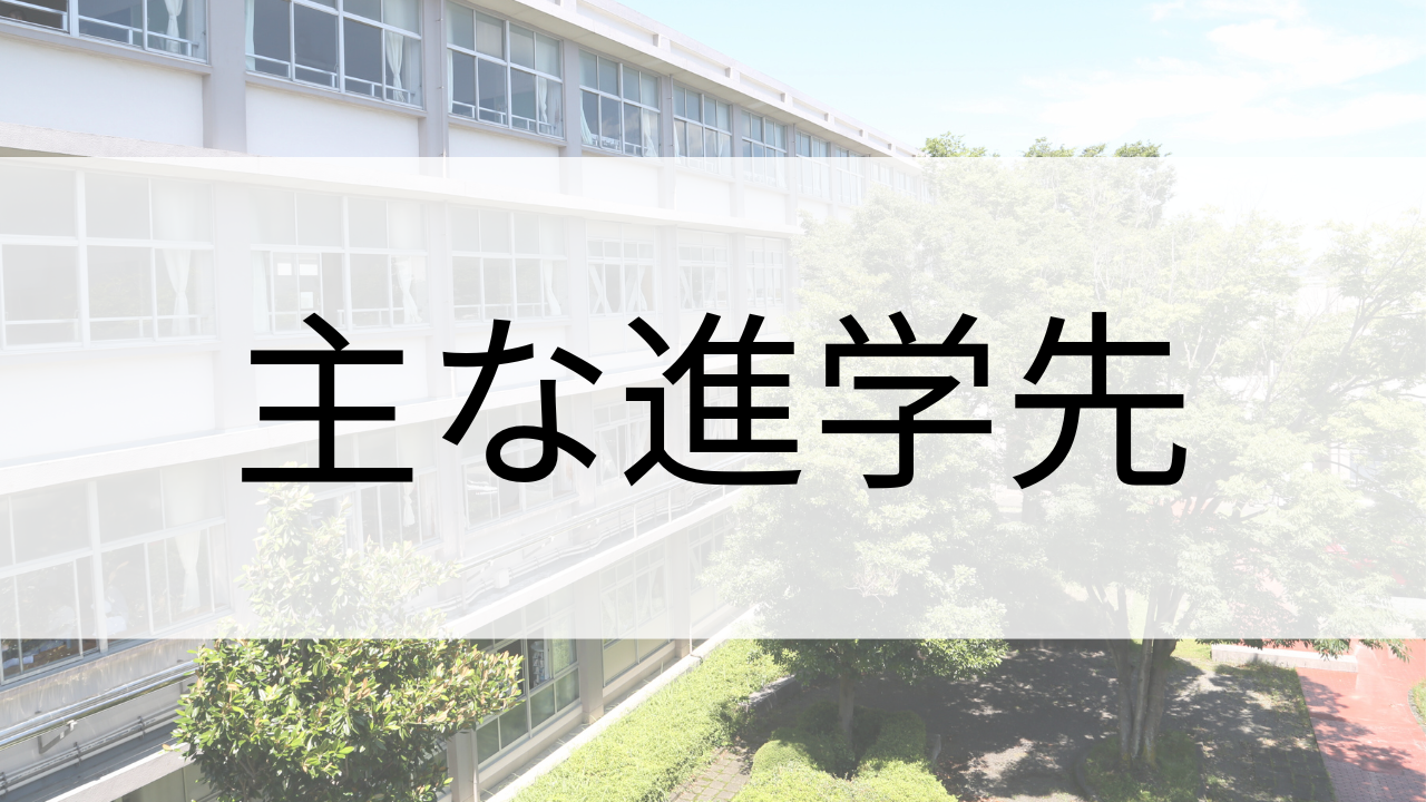 主な進学先