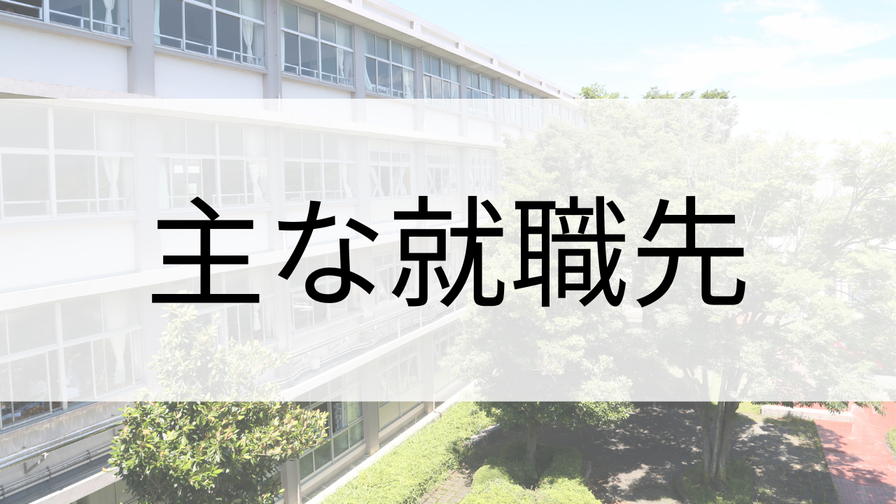 主な就職先
