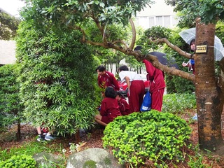 学校内を散策