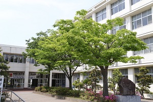 各部の年間計画