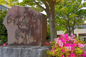 進路実績