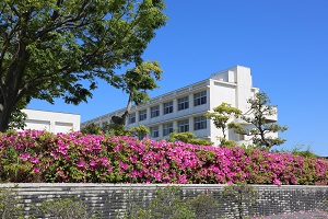 学科紹介・教育課程