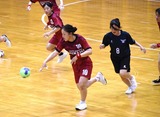 女子ハンド総体西部画像8