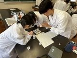 化学実験IMG_5046
