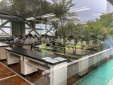 理数探究中間発表IMG_5501