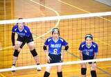 女子バレー部選手権画像5
