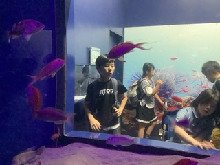 ②シーパラ