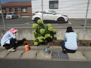 花いっぱいボランティア2 花いっぱいボランティア2