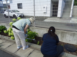 花いっぱいボランティア3 花いっぱいボランティア3