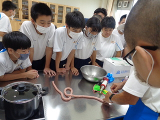 ソーセージづくりを見る生徒たち