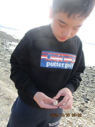 拾った貝をじっくり見る様子