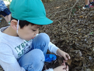 飾りづくり８＜木の実拾い＞