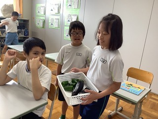 やさいとれたよ20