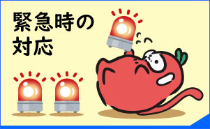 緊急時の対応