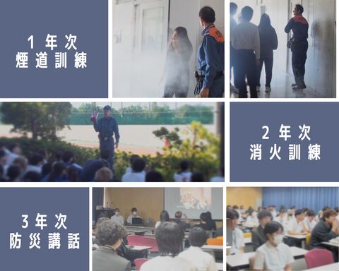 緑と白 家族 楽しみ 写真コラージュ