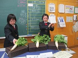 農耕班１