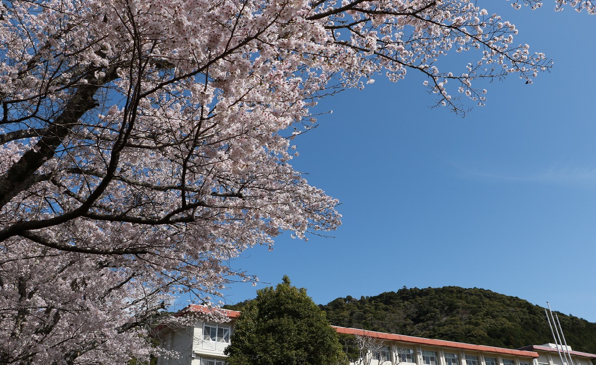 学校行事