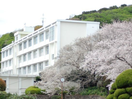 基本情報