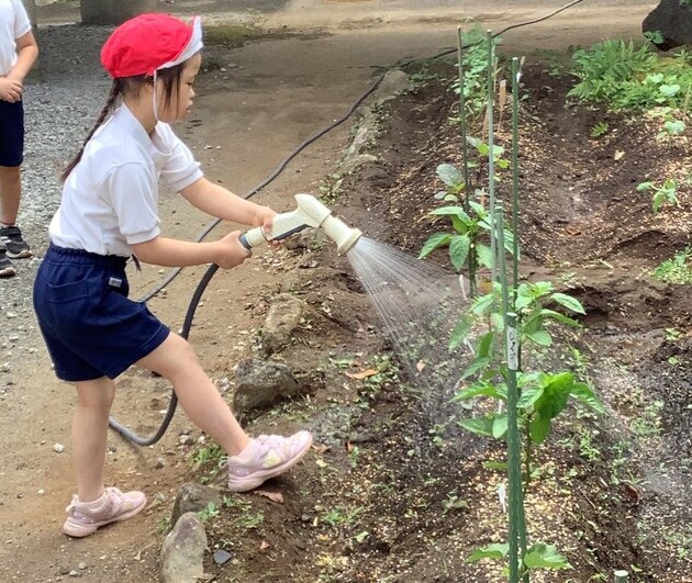 野菜２