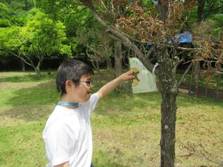 写真３