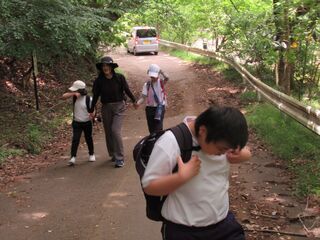 写真６