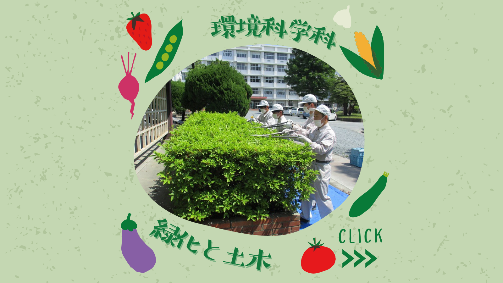 環境科学科