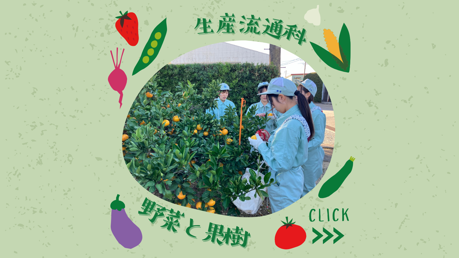 生産流通科
