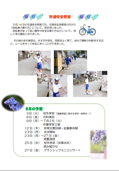 スクリーンショット_29-5-2025_173514_