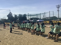 綱引き