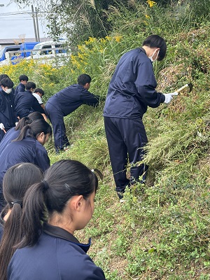 美化活動
