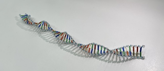 DNA