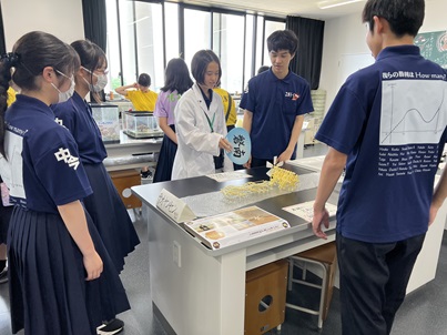 bunkasai2