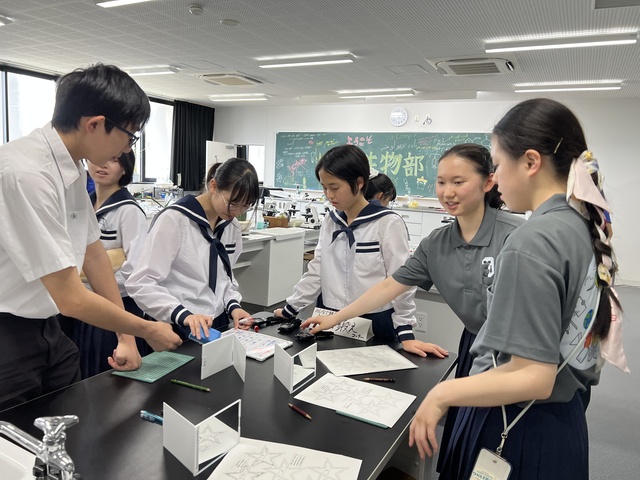 IMG_3029はぐま祭脳を鍛える1 hosi