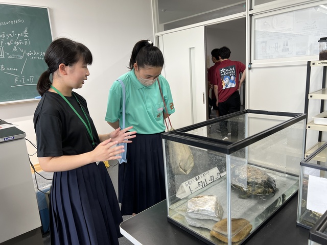 IMG_3033はぐま祭カメ kame