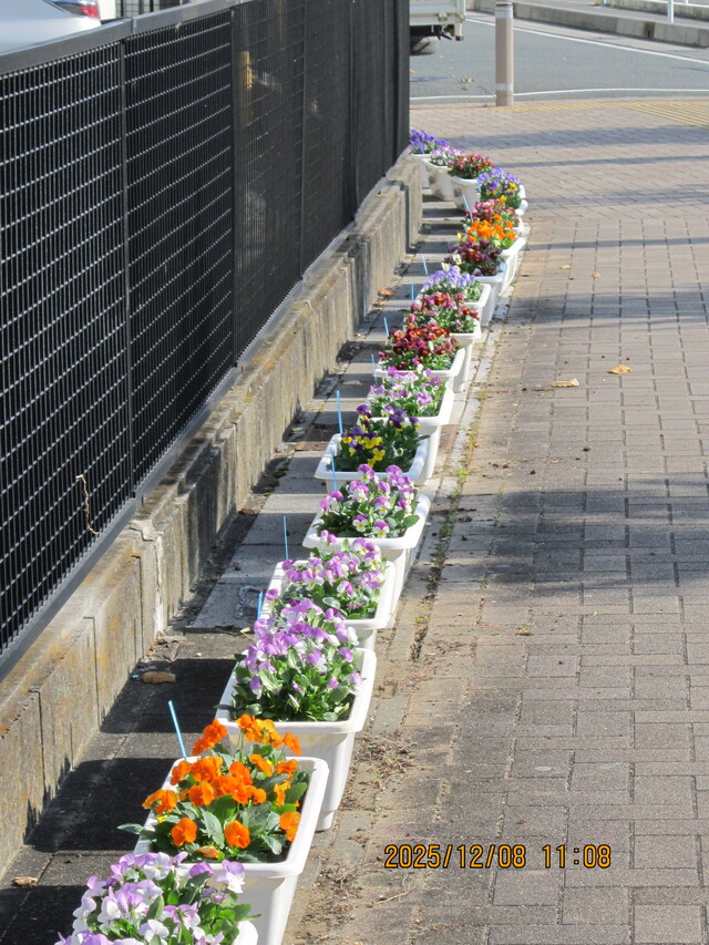 花２
