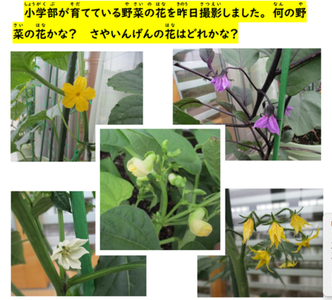 画像1 画像1