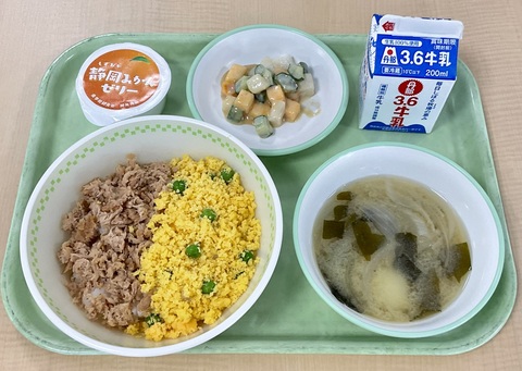 11月４日（火）