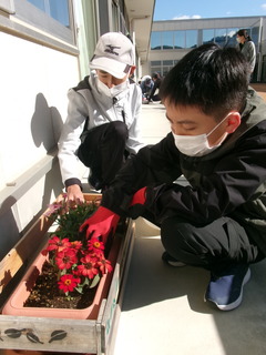 画像④