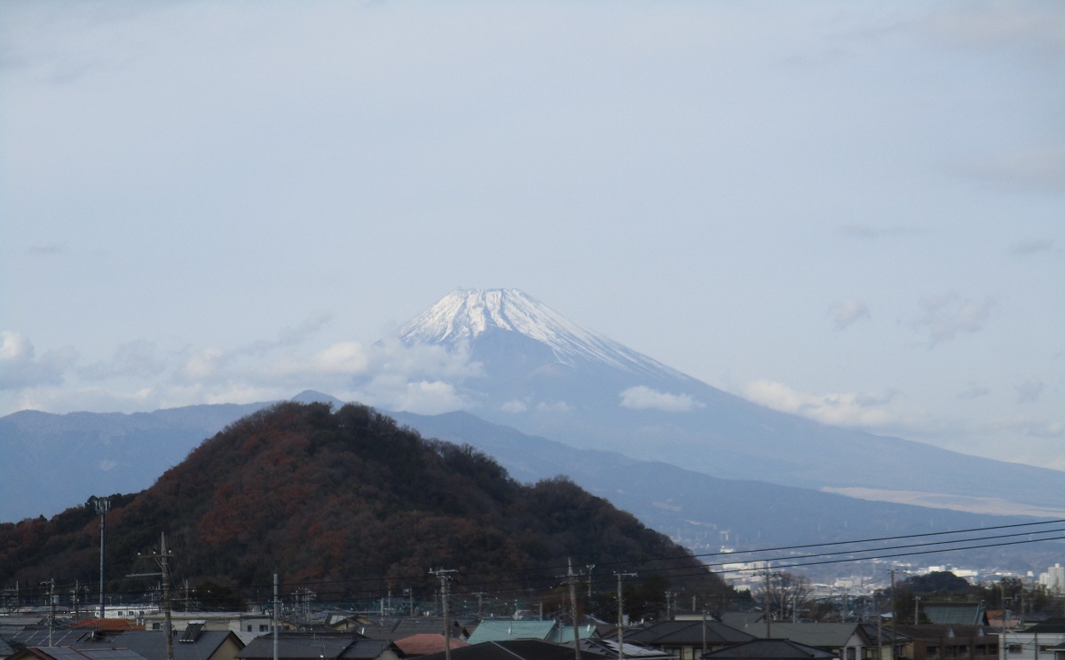 保健だより