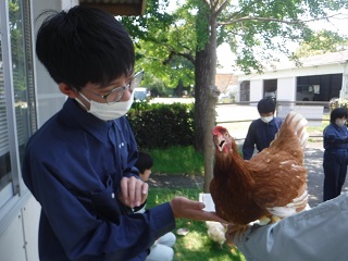 田方農業高校との動物交流（交流授業）