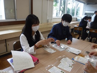 田農交流「ひまわりプロジェクト」