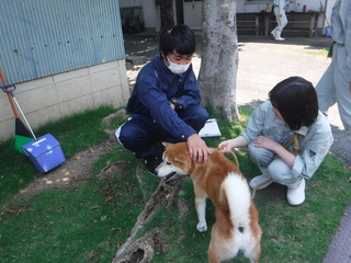 0705doubutsu2