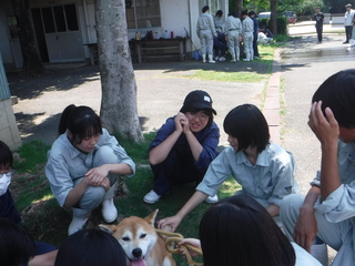 0705doubutsu3