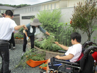 花壇