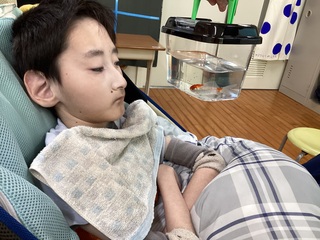 魚を見る