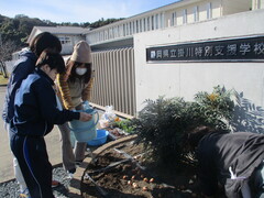 春２